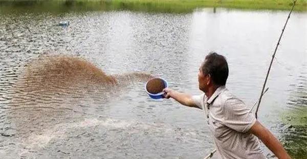 怎样给鱼体消毒 鱼种药物浸洗法(药浴法)简介