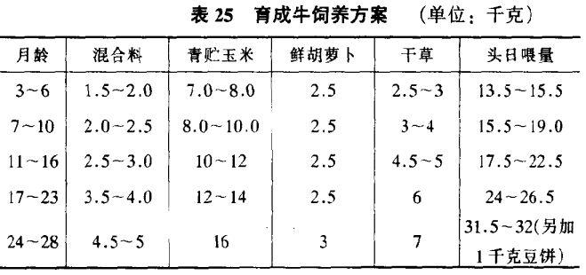 乳用育成牛的饲喂要点(有关哺乳期母牛的饲养措施)