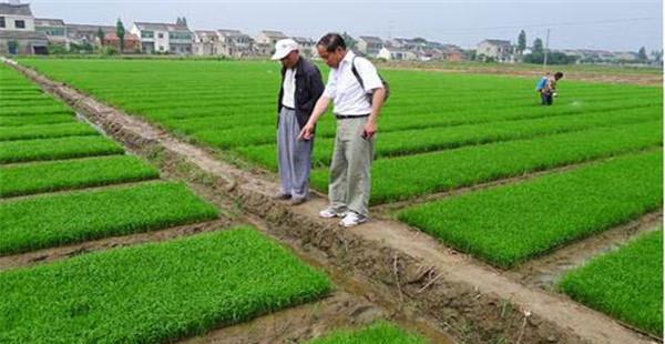 植物检疫