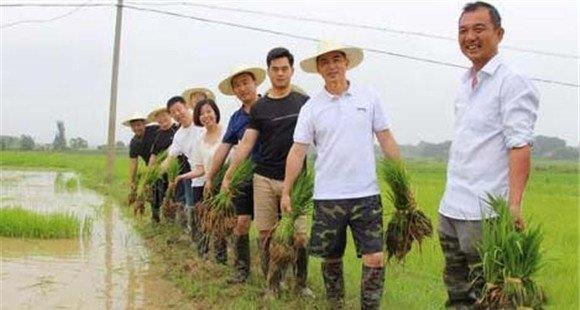 有机水稻栽培技术的生产方式