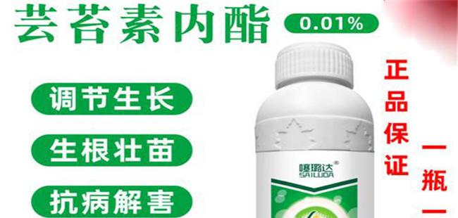 黄瓜有哪些生长调节剂 黄瓜如何使用生长调节剂