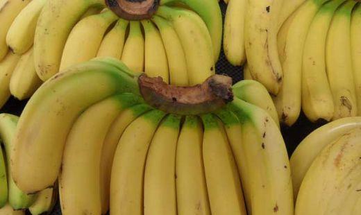 香蕉不能和哪些食物一起吃(香蕉和鲜梨中含有哪些天然生物)