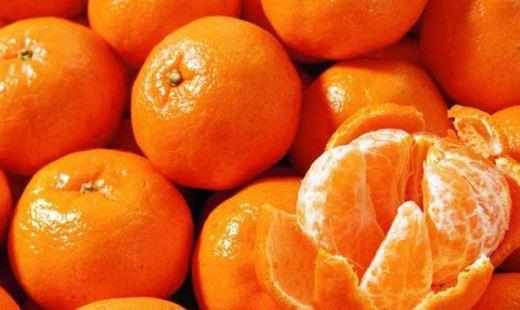 橘子和桔子有什么区别，桔子的功效与作用