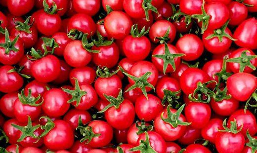 樱桃番茄介绍，樱桃番茄怎么种植方法与时间