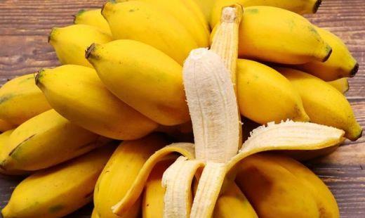 西贡蕉和香蕉有什么区别?香蕉如何挑选靠谱?