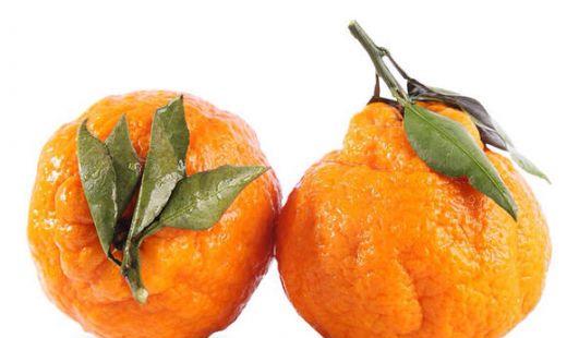丑橘的功效与作用，丑橘的营养有哪些?此文信息一览无遗