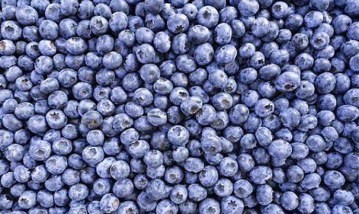 蓝莓外面的白霜是什么，蓝莓上面的白霜能吃吗