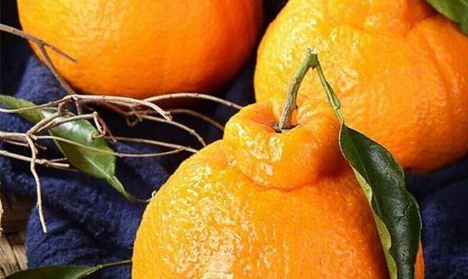丑橘一天吃多少合适?拿走不谢