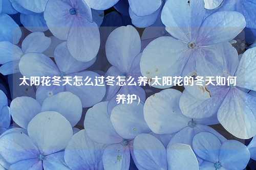 太阳花冬天怎么过冬怎么养(太阳花的冬天如何养护) 种植业