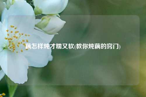 藕怎样炖才糯又软