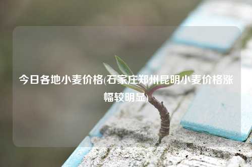 今日各地小麦价格(石家庄郑州昆明小麦价格涨幅较明显) 种植业