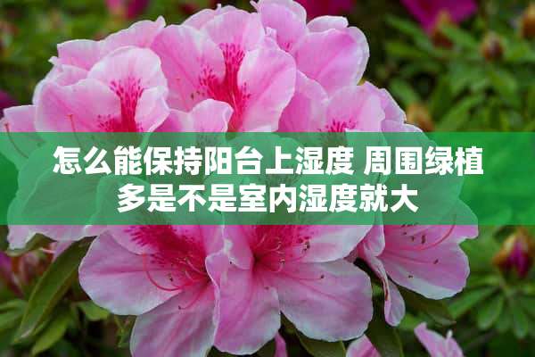 怎么能保持阳台上湿度 周围绿植多是不是室内湿度就大