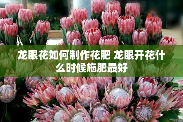 龙眼花如何制作花肥 龙眼开花什么时候施肥最好