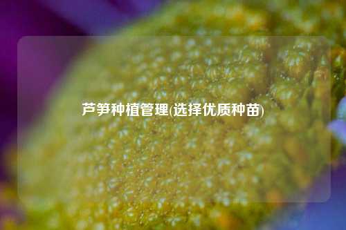 芦笋种植管理(选择优质种苗) 种植业