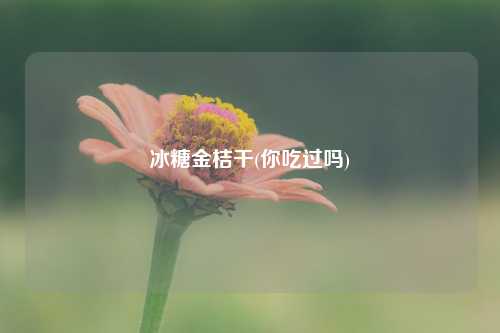 冰糖金桔干(你吃过吗) 种植业