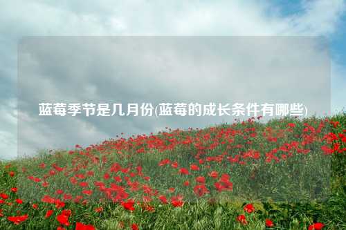 蓝莓季节是几月份(蓝莓的成长条件有哪些) 种植业