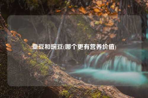 蚕豆和豌豆(哪个更有营养价值) 种植业