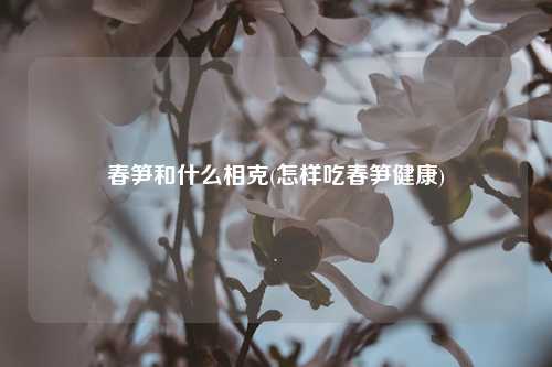 春笋和什么相克(怎样吃春笋健康) 种植业