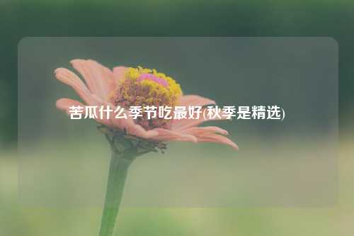 苦瓜什么季节吃最好(秋季是精选) 种植业