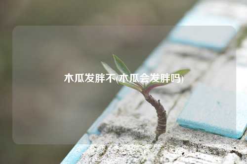 木瓜发胖不(木瓜会发胖吗) 种植业