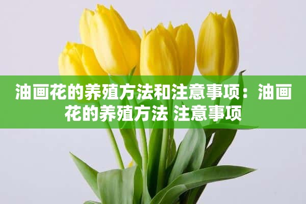 油画花的养殖方法和注意事项：油画花的养殖方法 注意事项