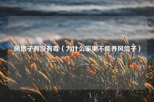 风信子有没有毒（为什么家里不能养风信子）