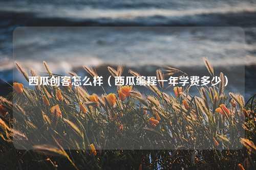 西瓜创客怎么样（西瓜编程一年学费多少）