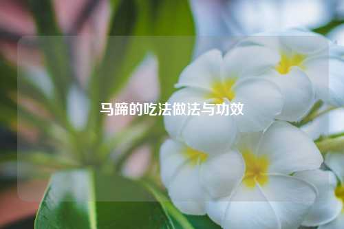 马蹄的吃法做法与功效 种植业