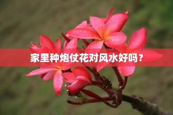 家里种炮仗花对风水好吗？