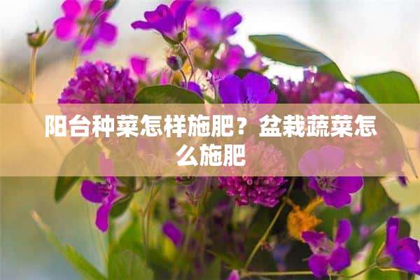 阳台种菜怎样施肥？盆栽蔬菜怎么施肥