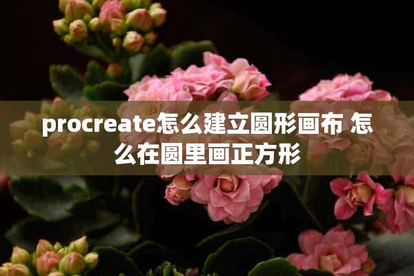 procreate怎么建立圆形画布 怎么在圆里画正方形