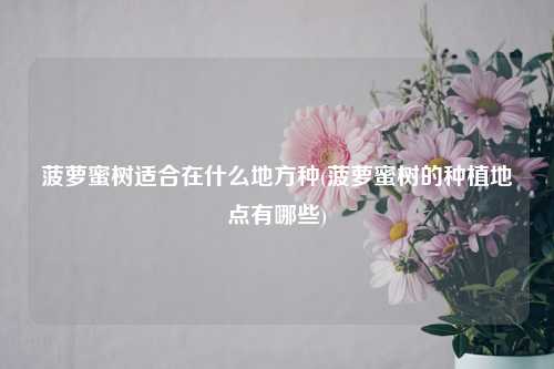 菠萝蜜树适合在什么地方种