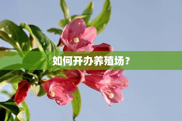 如何开办养殖场？