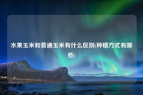 水果玉米和普通玉米有什么区别