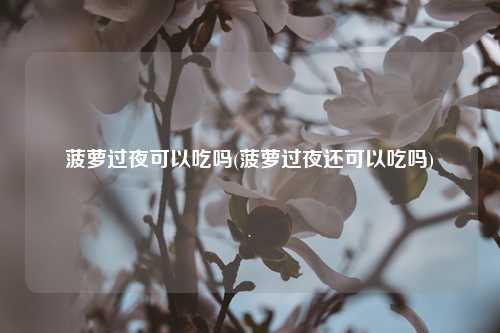 菠萝过夜可以吃吗