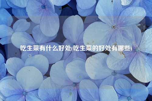 吃生菜有什么好处(吃生菜的好处有哪些) 种植业