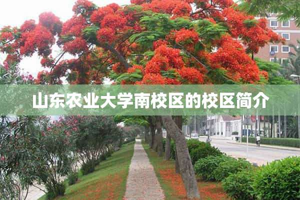 山东农业大学南校区的校区简介