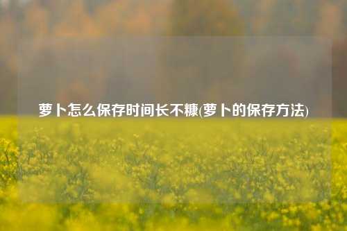 萝卜怎么保存时间长不糠