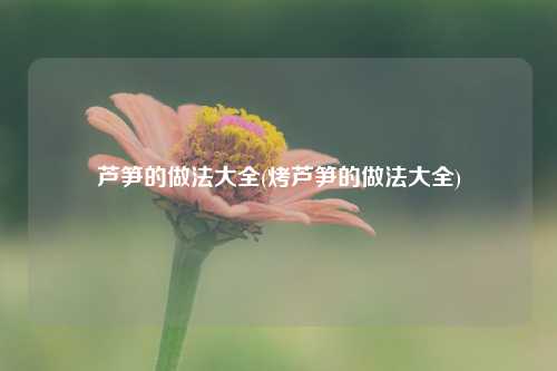 芦笋的做法大全