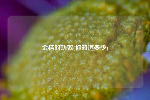 金桔的功效(你知道多少) 种植业