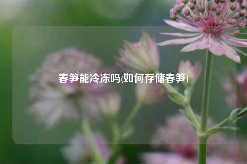 春笋能冷冻吗(如何存储春笋) 种植业