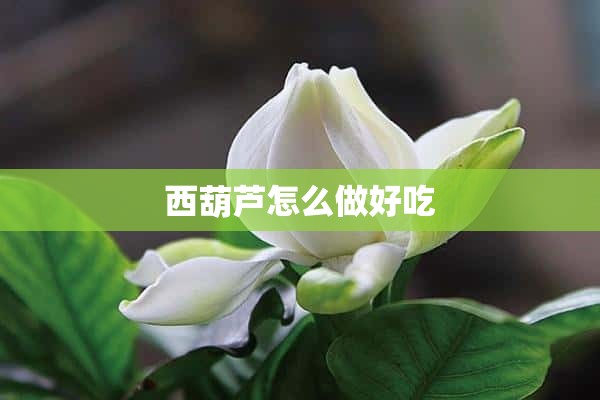 西葫芦怎么做好吃