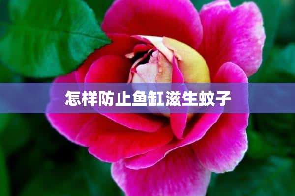 怎样防止鱼缸滋生蚊子