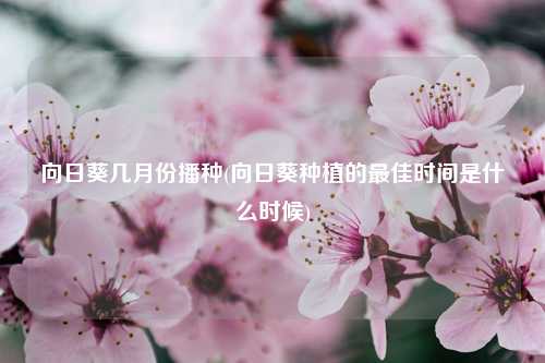 向日葵几月份播种