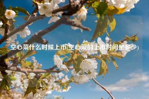 空心菜什么时候上市(空心菜的上市时间是多少) 种植业