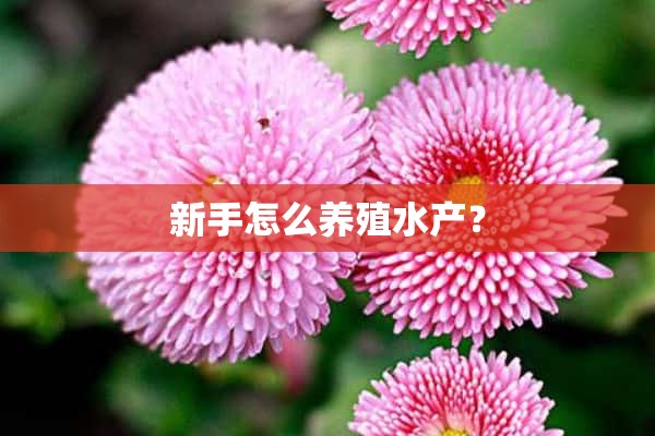 新手怎么养殖水产？