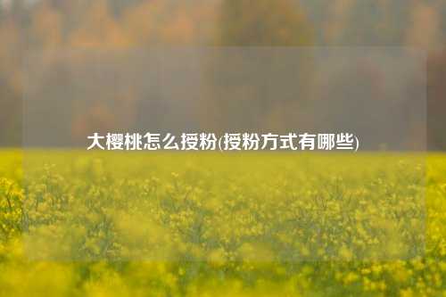 大樱桃怎么授粉