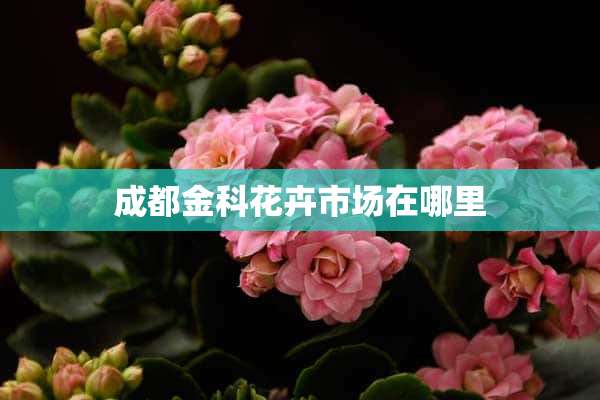 成都金科花卉市场在哪里