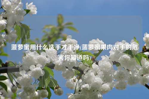 菠萝蜜用什么洗手才干净