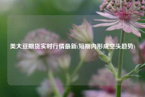 美大豆期货实时行情最新(短期内形成空头趋势) 种植业